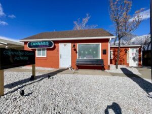 Cannabis Studio — Boulder, CO