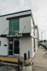 Perfect Plant – Cannabis Dispensary — Nashville, TN
