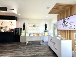 Native Plant CBD & Wellness-Dispensary THC Hemp — Nashville, TN