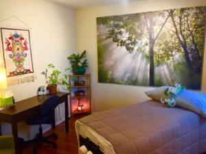 Green Earth Medicine- OMMP Services — Portland, OR