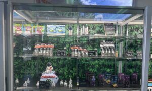 Sun City Grow Stand — Sunland Park, NM