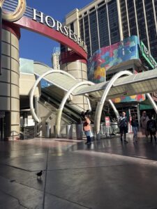 The 702 Collective — Las Vegas, NV