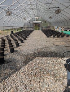 Windy Village Wellness — Sherborn, MA