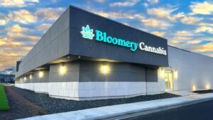 Bloomery Cannabis – Mt Clemens — Mount Clemens, MI