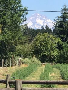 Vital Earth Farms — Oregon City, OR