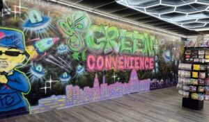 GoGreen smoke & vape — Havre de Grace, MD