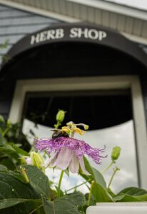 Hawthorn & Violet — Fenton, MI
