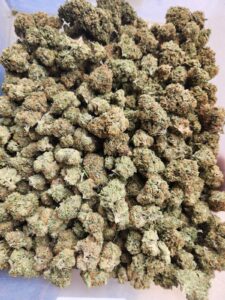 Roadrunner Organics LLC., Cannabis Dispensary — Bosque Farms, NM