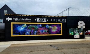 The Hive at BDT — Hazel Park, MI