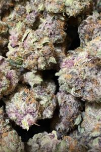 Exotic Weeds — Fresno, CA