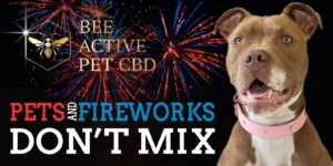 Los Ranchos Health & Wellness CBD for You & Pets! — Los Ranchos de Albuquerque, NM