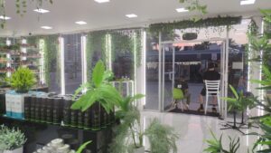 Alter Native – Almond Ave. — Fort Lauderdale, FL