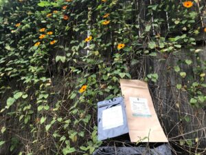 Soulful Herbals — Hollywood, FL