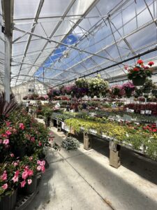 Northern Naturals — Apple Valley, MN