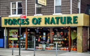 Forces of Nature — Brooklyn, NY