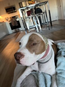 Penelope’s Bloom — Los Angeles, CA