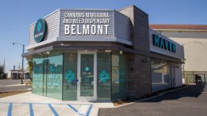HAVEN Cannabis Marijuana and Weed Dispensary – Belmont — Long Beach, CA