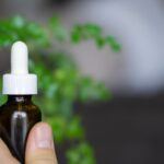 How to Create Perfect Cannabis-Infused Oil at Home