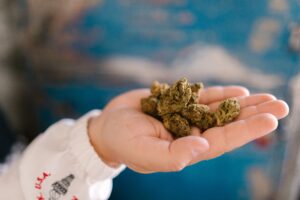 How Cannabis Linalool Potentially Enhances Therapeutic Effects
